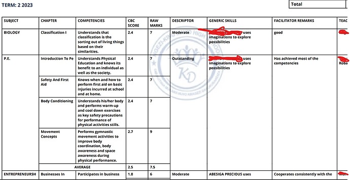 Example Report